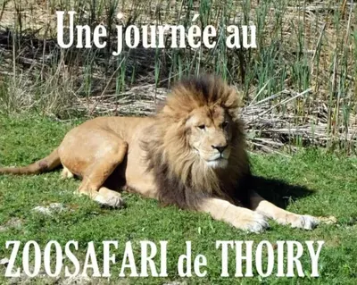 Animaux dans la maison de vacances ou à proximité