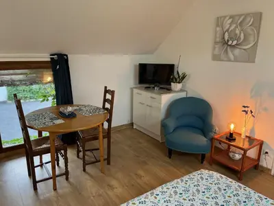 Télévision ou salle de divertissement dans l'établissement L'Herbe de grâce