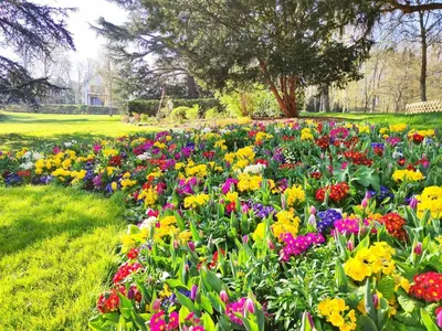 Jardin de l'établissement Le Repère de Poissy・4 Ch de Standing