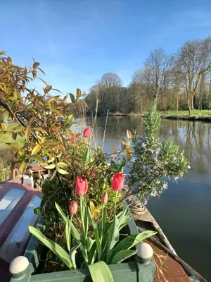 Vue sur la rivière ou le fleuve situé(e) à proximité de le bateau