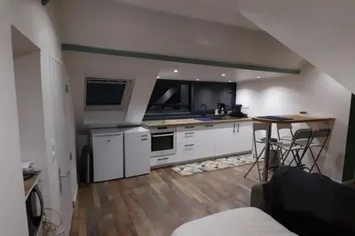 Cuisine ou kitchenette dans l'établissement Appartement de charme centre ville