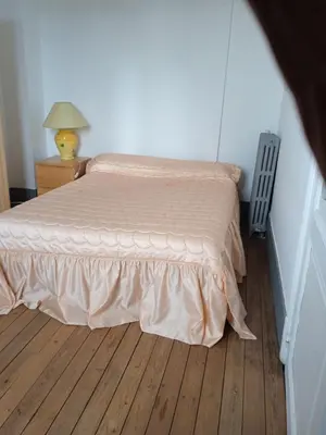 Un ou plusieurs lits dans un hébergement de l'établissement Silver chambre