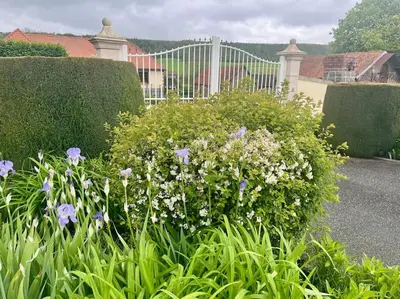 Jardin de l'établissement Villa Campagne Chic