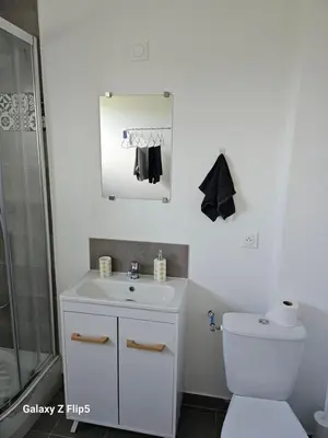 Salle de bains dans l'établissement Magnifique Chambre Triple3