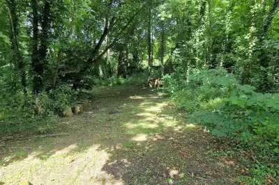 Paysage naturel près de la maison de vacances