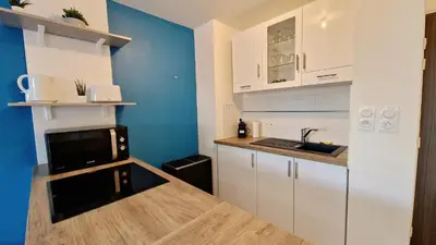 Cuisine ou kitchenette dans l'établissement Le Nautilus