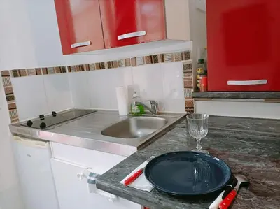 Cuisine ou kitchenette dans l'établissement Studio fonctionnel au calme