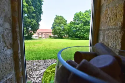 Jardin de l'établissement Évasion au Château Ravenel