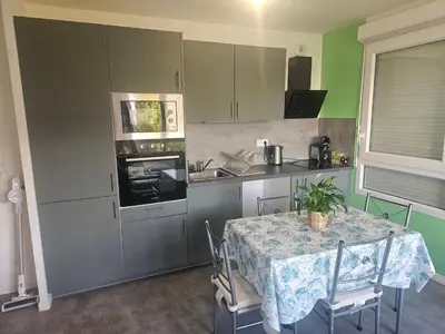 Cuisine ou kitchenette dans l'établissement grand appartement 2 pièces en résidence