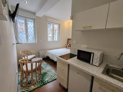 Cuisine ou kitchenette dans l'établissement Le petit écureuil studio Hypercentre