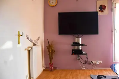 Télévision ou salle de divertissement dans l'établissement Superb flat in recent building with parking lot