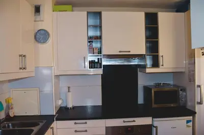 Cuisine ou kitchenette dans l'établissement Superb flat in recent building with parking lot