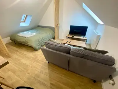 Télévision ou salle de divertissement dans l'établissement Chaleureux studio hyper centre