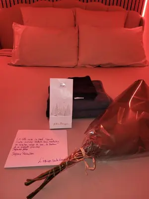 Plan de l'établissement Suite Luxury Rouen