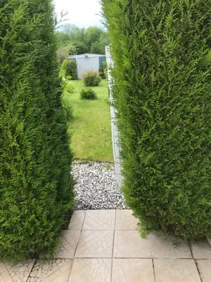 Jardin de l'établissement la MAISON de SEVERINE