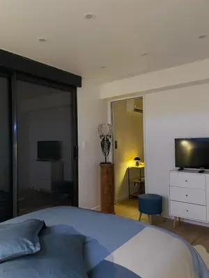 Télévision ou salle de divertissement dans l'établissement Appartement indépendant avec jacuzzi et terrasse privative, sans vis-à-vis à proximité immédiate de la gare