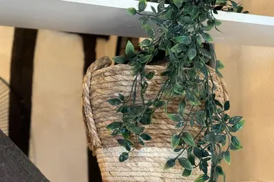 Plan de l'établissement Vera Studio Confortable sous les combles !