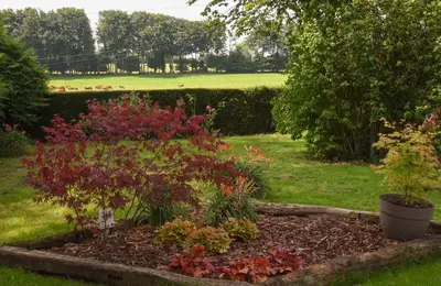 Jardin de l'établissement Le Cottage -Gîte de charme-