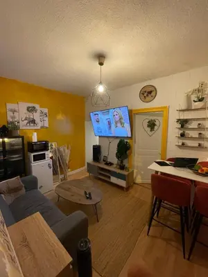 Télévision ou salle de divertissement dans l'établissement Charmant appartement centre ville