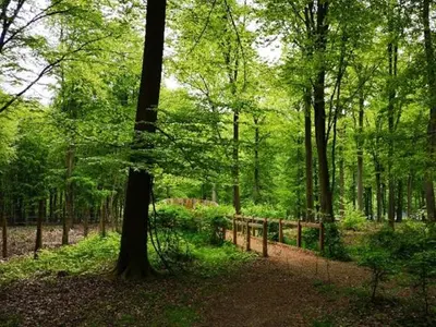 Paysage naturel près de la maison de vacances