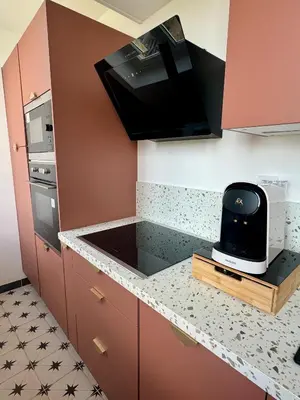 Cuisine ou kitchenette dans l'établissement Appartement Pop Art