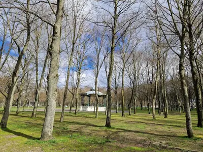 Paysage naturel près de l'appartement