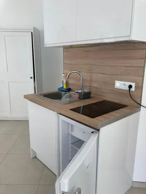 Cuisine ou kitchenette dans l'établissement Studio style loft