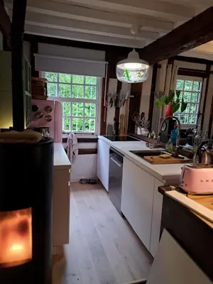 Cuisine ou kitchenette dans l'établissement Maison au bord de la Seine
