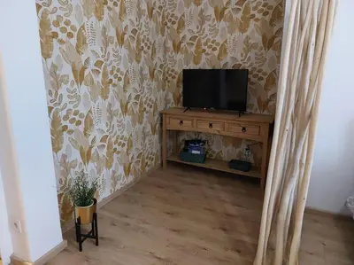 Télévision ou salle de divertissement dans l'établissement Studio duplex