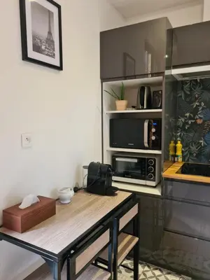 Cuisine ou kitchenette dans l'établissement Joli 2 pièces, Paris 30 min, Wi-Fi rapide