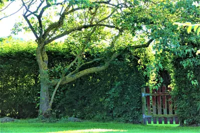 Jardin de l'établissement La Casanyères BnB - Campagne Normande - 5min Mer - Cabine de Plage