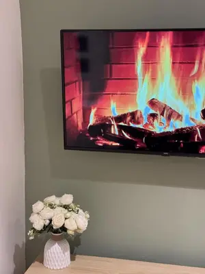 Télévision ou salle de divertissement dans l'établissement L'Olivier RDC