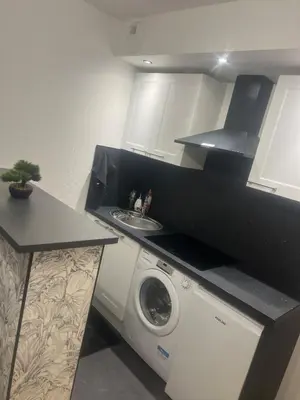 Cuisine ou kitchenette dans l'établissement Flixhouse