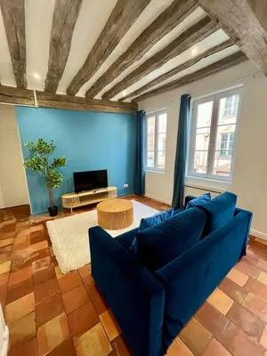 Télévision ou salle de divertissement dans l'établissement Le Bleuet de Rouen