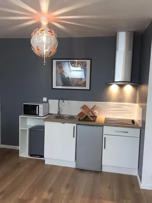 Cuisine ou kitchenette dans l'établissement Appt au pied de la cathédrale avec parking gratuit