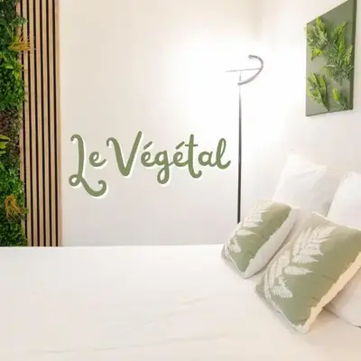 Le Végétal - 5 min à pied du centre avec jardin