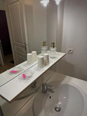 Salle de bains dans l'établissement Appartement L Escale à Tillé