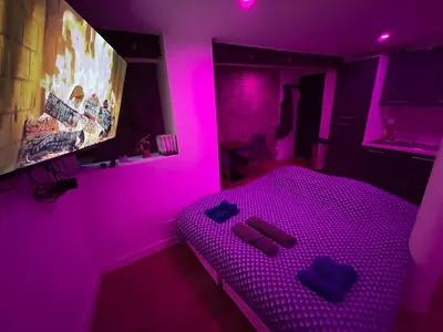 Télévision ou salle de divertissement dans l'établissement Nuit magique jacuzzi, terrasse & lit motorisé - 008
