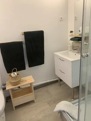 Salle de bains dans l'établissement Centre-Ville Parking Gratuit Proche Aéroport