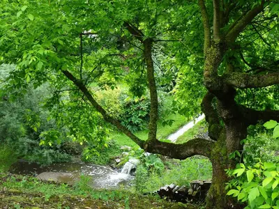 Paysage naturel près de la maison de vacances