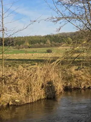 Paysage naturel près de la maison de vacances