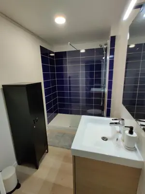 Salle de bains dans l'établissement Maison Rénovée & Spacieuse, Idéale Familles & Groupes, Proche Aéroport