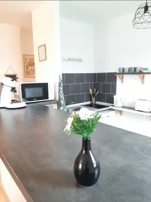 Cuisine ou kitchenette dans l'établissement proche aéroport a pied O fleuri