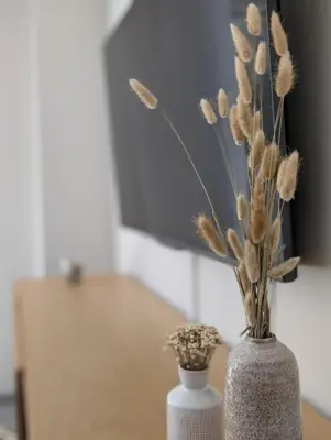 Télévision ou salle de divertissement dans l'établissement Le cottage du moulin - NETFLIX - WiFi - Garage
