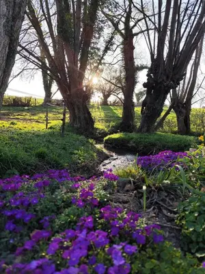 Jardin de l'établissement Beau soleil
