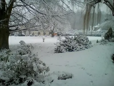 L'établissement Le Relais De Dalibray en hiver