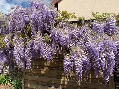 Jardin de l'établissement La Parenthèse Impressionniste