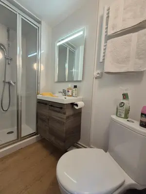 Salle de bains dans l'établissement Studio Rouen Hypercentre 2 personnes Le Terracotta