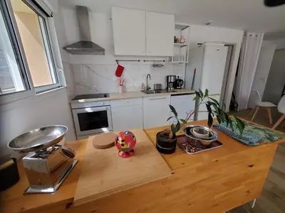 Cuisine ou kitchenette dans l'établissement Jolie maison , jardin privé , classée 3 étoiles