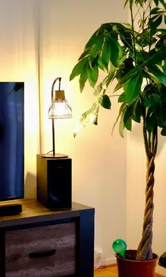 Télévision ou salle de divertissement dans l'établissement Proche Rouen - Charmant 2 Pièces